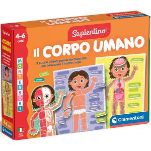 MONTESSORI  IL CORPO UMANO