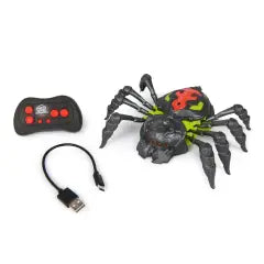 RAGNO RC