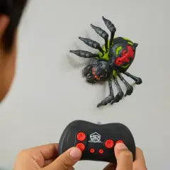 RAGNO RC
