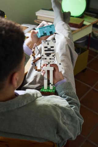 MINECRAFT - LO SCHELETRO - 21594 - babykid
