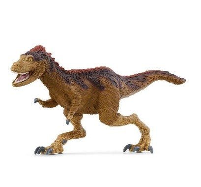 MOROS INTREPIDUS - babykid