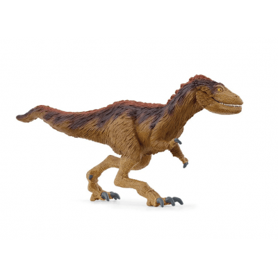 MOROS INTREPIDUS - babykid