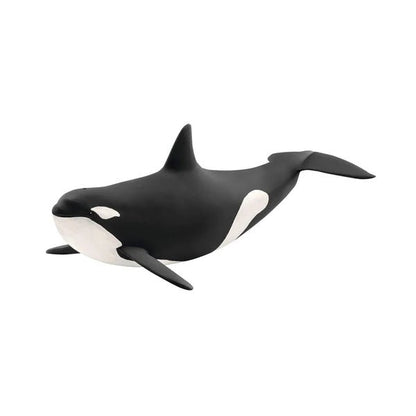 ORCA - babykid