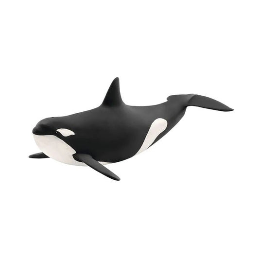 ORCA - babykid
