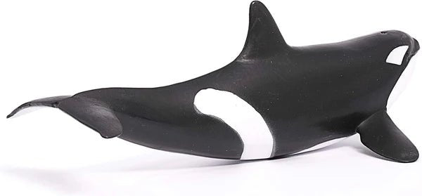 ORCA - babykid