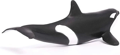 ORCA - babykid