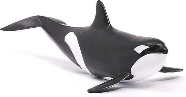 ORCA - babykid