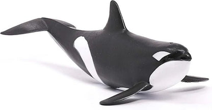 ORCA - babykid