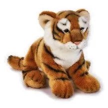 TIGRE - babykid