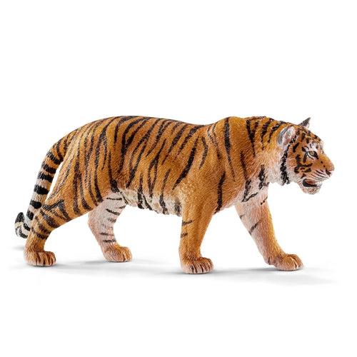 TIGRE - babykid